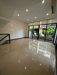 Holland Link (D10), Terrace #577696271